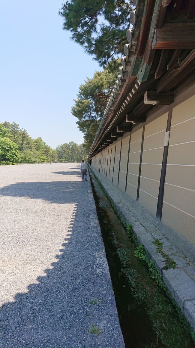 御所 離宮の庭     京都御所 仙洞御所・桂離宮・修学院離宮　遠藤崇 写真 御所 離宮の庭 京都御所 仙洞御所・桂離宮・修学院離宮遠藤崇 写真