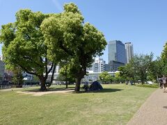 中之島公園の芝生広場を通り。