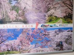 上野駅からスタート！東北の桜を見に行きたいけどね。