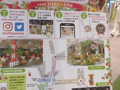 ホワイティ×シルバニアファミリー　～Flower Forest スプリング～　

「本物のお花の癒し」と「シルバニアファミリーのかわいさ」がコンセプト
かわいいキャラクターたちとともに、約3000本20種の本物のお花が飾られています。