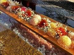 帰りの道すがら、兼六園の前にある石浦神社にお参り。
初詣に行きそびれていたので実質これが初詣。

お手水のところがコロナ対策で使えない代わりに色とりどりのお花で彩られていて素敵でしたよ。