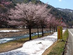 ミニ尾瀬公園付近。