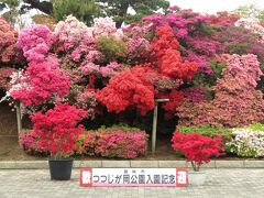 茂林寺からつつじが岡公園へ。名前の通り、園内にはツツジの花が咲き乱れている。