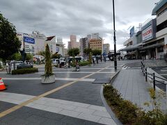 松本駅へ。駅前です。松本は中心部でも静かな町ですが、さすがに中心街の雰囲気。