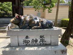 参道のお店を覗きながら、大宰府天満宮へ。
この牛を撫でるといいらしい。

