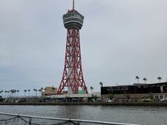 海の方へでたら、結構波風がありました。ほんの少しの間だから良かったけど、もうちょっと時間が長かったら酔いそう。