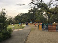 宝来公園を出て、川沿いにある多摩川台公園まで行きました。
親子連れの姿がたくさんあり、芝生の上にシートやテントを設置していました。

