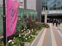 歩いて大塚駅に戻って来ました。
線路沿いにバラが沢山咲いてました。