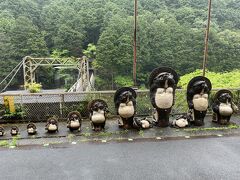 保津峡駅名物の狸の置物。その奥にに見える保津峡吊橋は、サスペンスでもよくつかわれるのだとか