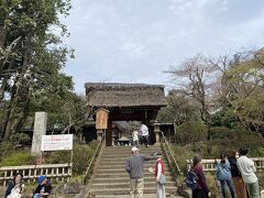 おしゃべりしながら歩いてると、深大寺まではあっという間に着いた。