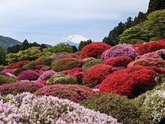 今年のGW明けは梅雨のはしりのような天気予報で今日だけ晴れの予報でした。
