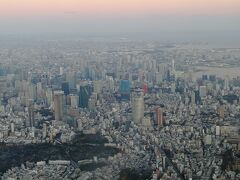 東京タワーも見えました！