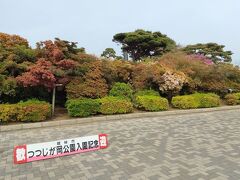 「つつじが岡公園」