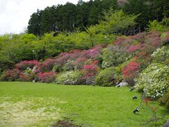 箱根ホテル花月園へも寄っていきましょう。

今年の庭園のつつじはちょっと早いようだ。数年前はすごかったのだけれど。

2018年のGW時が見事だったのでよろしければどうぞ。

芦ノ湖キャンプ村のロッジと金時山で過ごすGW
https://4travel.jp/travelogue/11355673