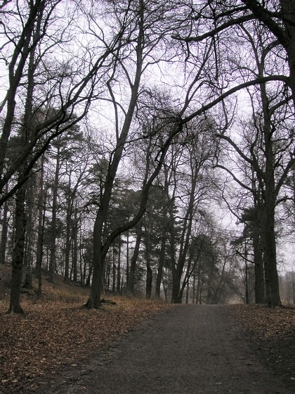 途中の別の案内板をたよりに、こっちかな…？と雑木林の中の道を行ってみることに。<br />全然ヒトが歩いてなかったんですよね。この時は。たどり着けるのか…？！