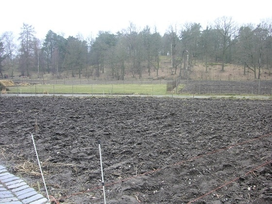 ３月下旬ですが、畑にはまだ何も作物はなく。<br />