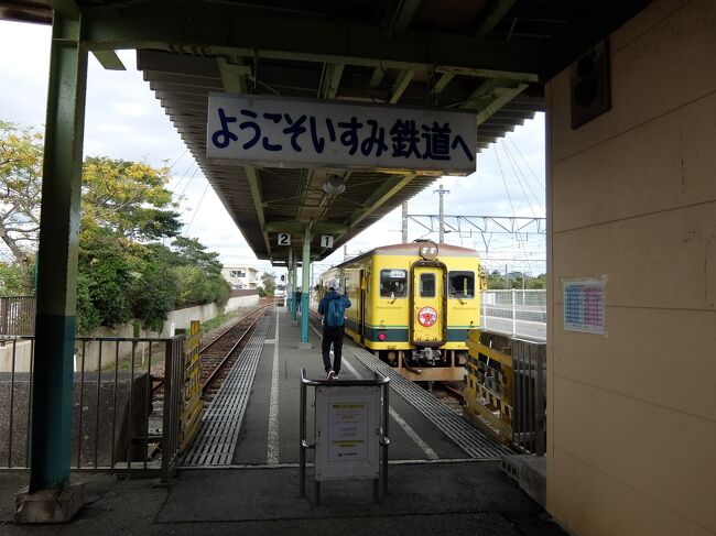 念願の房総ローカルで千葉さんぽ』いすみ・大多喜(千葉県)の旅行