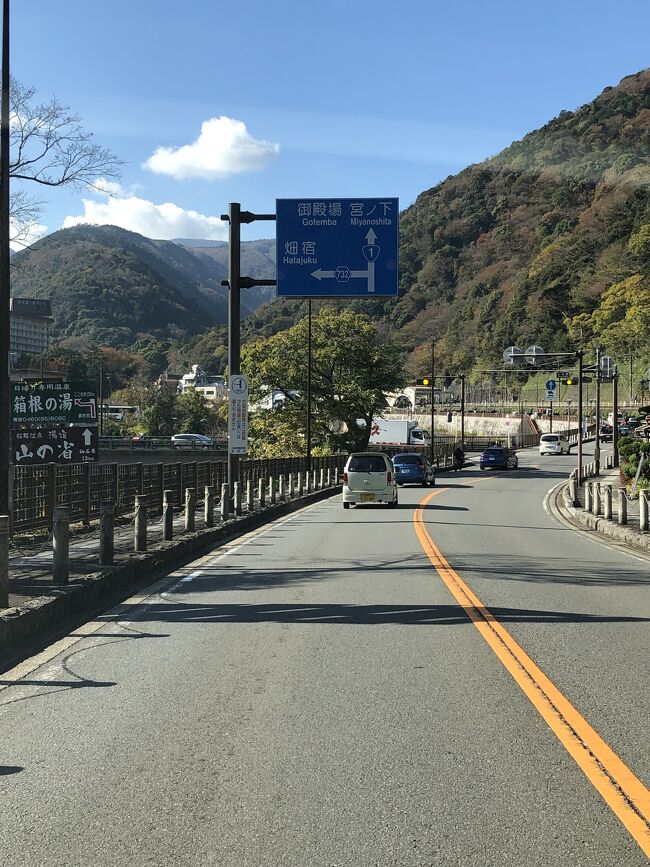 秋の箱根路（杉並木）