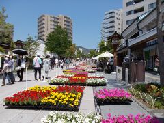 GWの5月3日から5日、ちょうどは花回廊をおこなっていました。