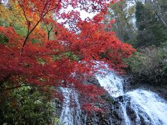 【こさか七滝】14:15
こさか七滝の丁度横で、紅葉が色づいていました。