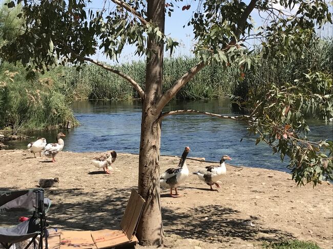 河口近くの乗り場まで歩く