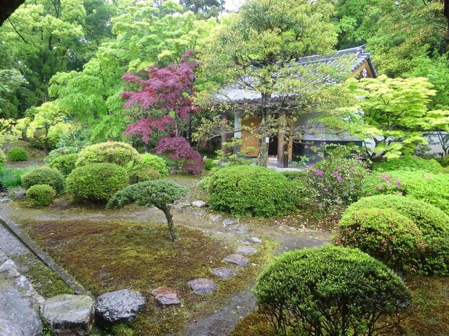 22gw二都物語 京都編 第2章 華香る古都で過ごす 雨と共に 京都の旅行記 ブログ By みみこさん フォートラベル