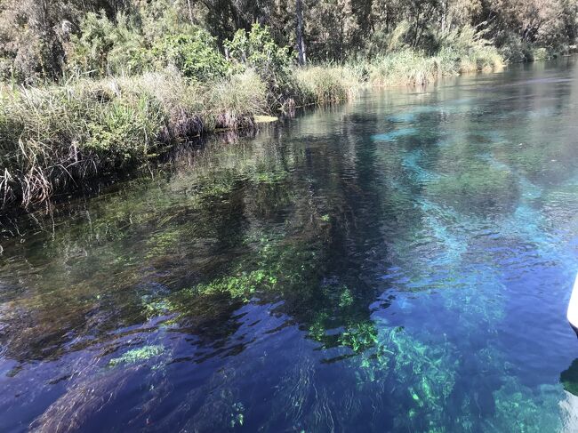 Azmak川ボートツアー