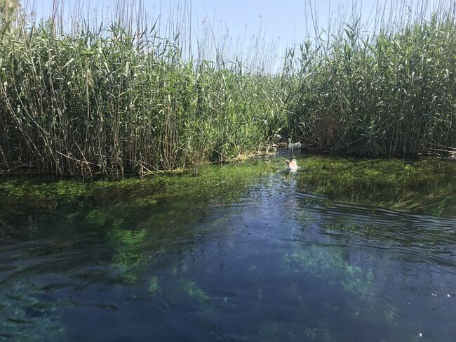 Azmak川ボートツアー