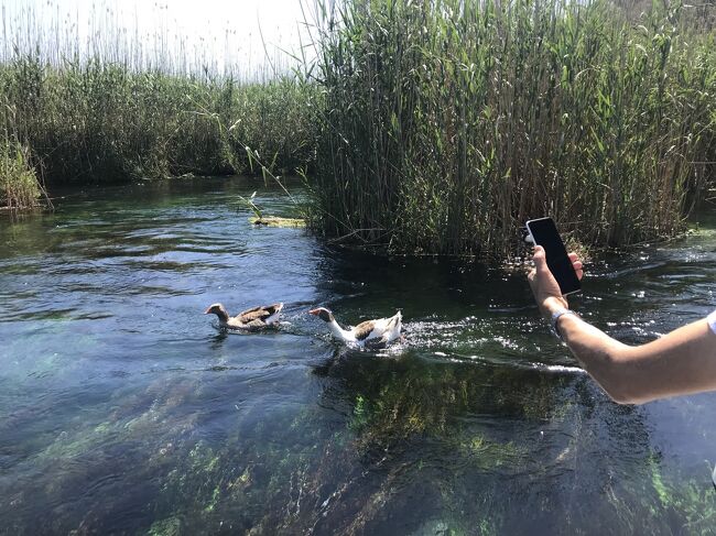 Azmak川ボートツアー