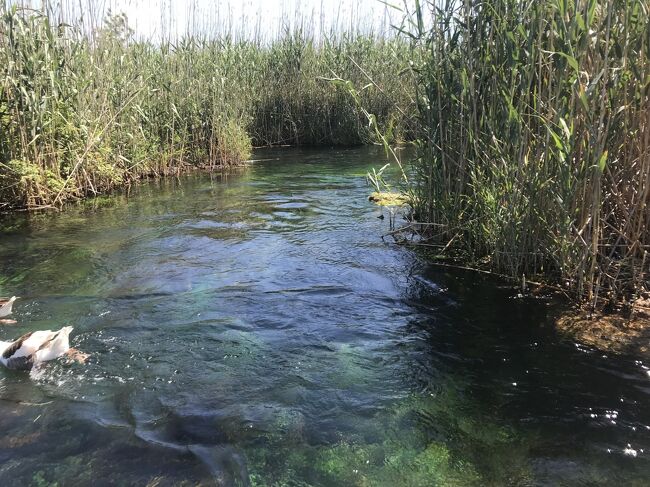 Azmak川ボートツアー