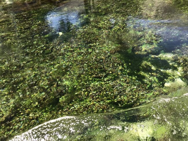 Azmak川ボートツアー