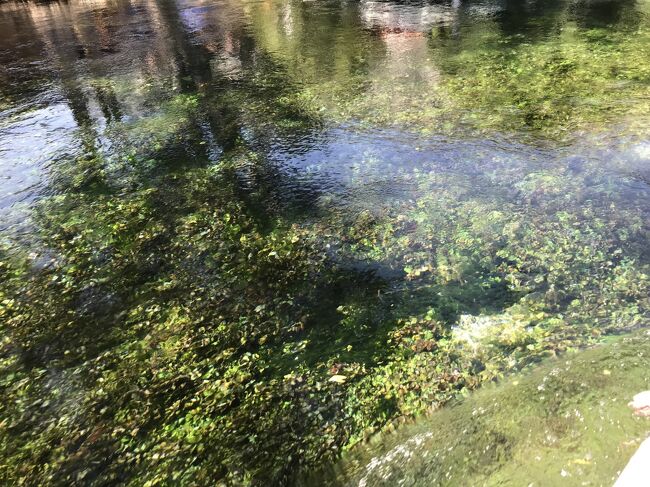 Azmak川ボートツアー