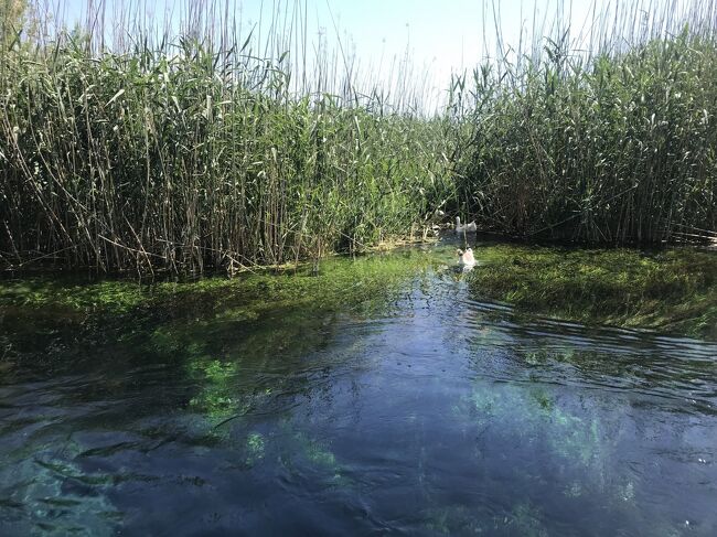Azmak川ボートツアー