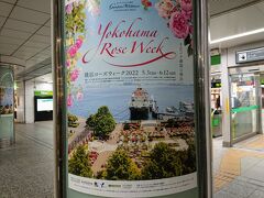 GWも後半戦。
横浜駅を歩いていたら、横浜ローズウィークのポスターが目に留まった。
今年は５月3日から6月12までらしい。

今日は5月４日。ちょっと行ってみますか。
