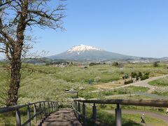 続いて向かったのは、弘前市のりんご公園。
展望台がありました。