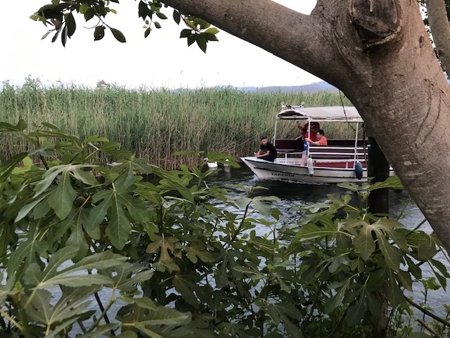 川沿いで景色は良い