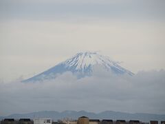 湘南モノレールの湘南江の島駅からの眺めです。４階に展望台（ルーフテラス）が有ります。