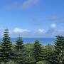 梅雨入り直前☆夏を先どりする八重山諸島夫婦旅②ー願寿屋に宿泊してサバニクルーズと集落さんぽー