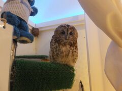 HOTEL OWL Tokyo