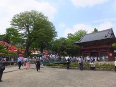 やってきたのは根津神社。