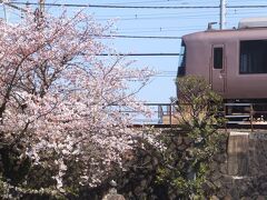 箱根登山線が直角に曲がるカーブの内側が境内。
ちょうどロマンスカーがきました。
このEXEもリニューアル進行中。この塗装と桜の組み合わせもまもなくお別れ。