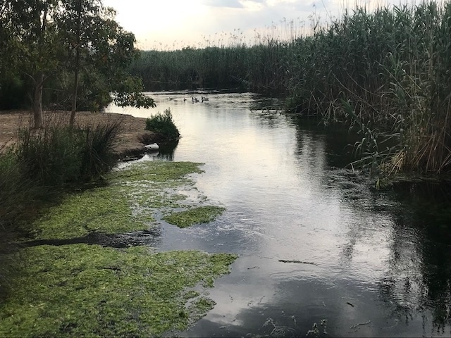 川沿いを朝の散歩