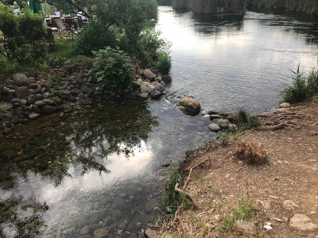 川沿いを朝の散歩