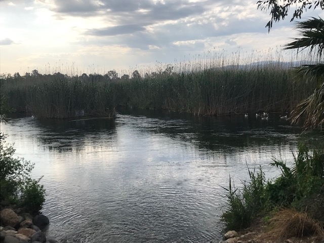 川沿いを朝の散歩