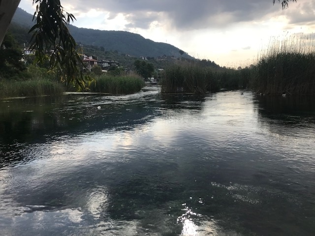 川沿いを朝の散歩