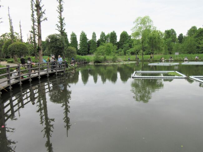 本多静六博士の森 って何 どこ 県民健康福祉村 川口自然公園 芝川第一調整池 22年5月 浦和 埼玉県 の旅行記 ブログ By Ron3さん フォートラベル