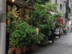 青木堂さんから、靖国通りを淡路町方向に少し歩いて、路地を入ってみるとグリーンが繁っている場所が！