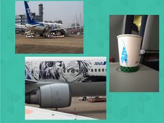 飛行機での移動