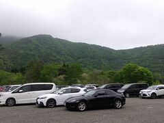 おなかも満足したところで、観光に出かけることにします。
目指すは、富士芝桜まつり。
しかし駐車場からして、かなり混んでいます。