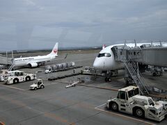 日本航空で新千歳空港到着